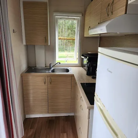 Jardim Bonito 11zz *