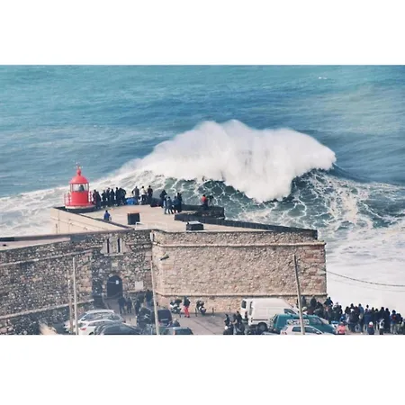 キャンプ場 Jardim Bonito 11zz パタイアス